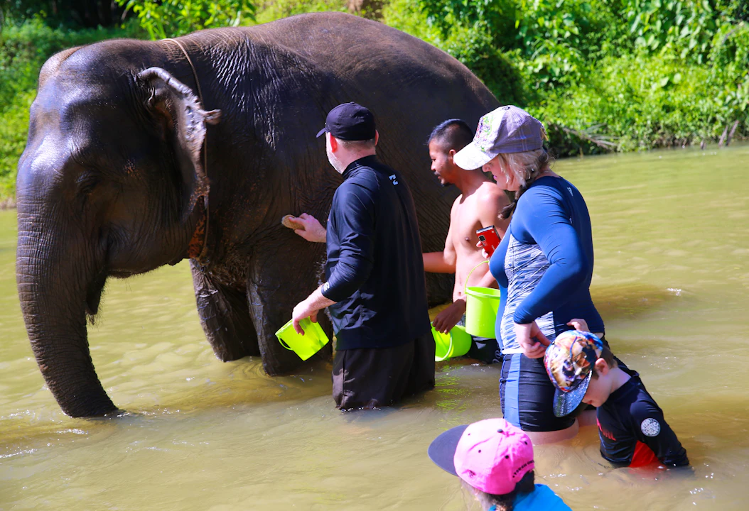 Khao Sok Day Trip Ticket